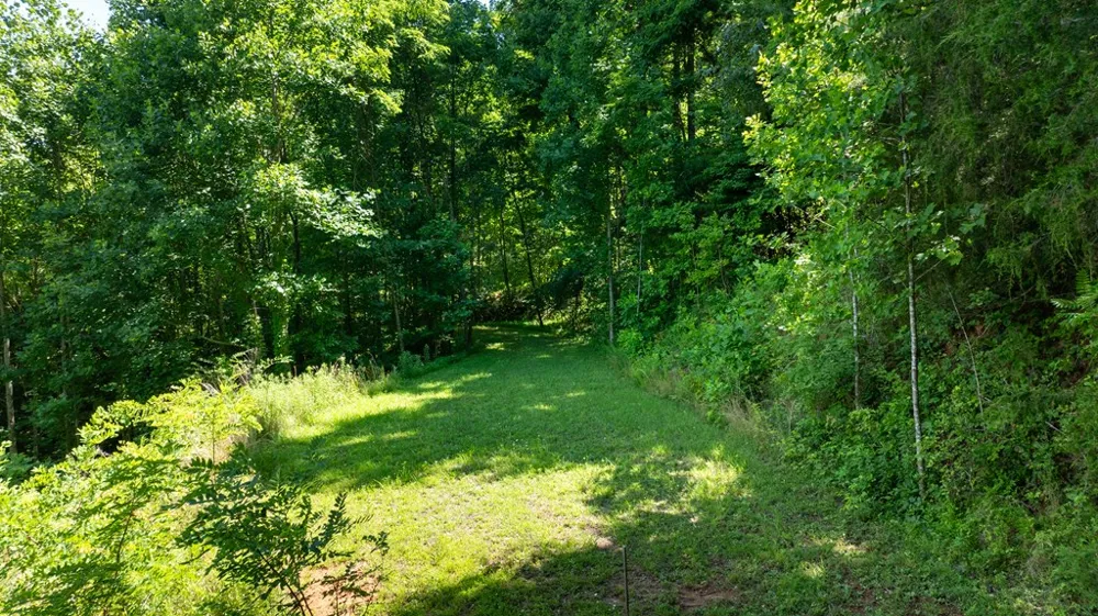 Mane Loop Road Franklin, NC 28734