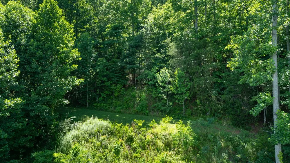 Mane Loop Road Franklin, NC 28734