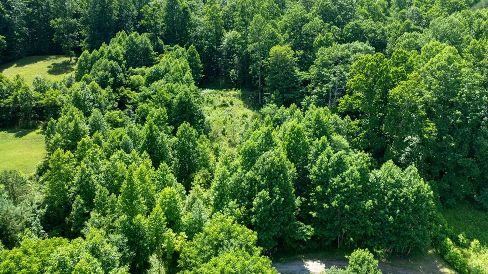 Mane Loop Road Franklin, NC 28734