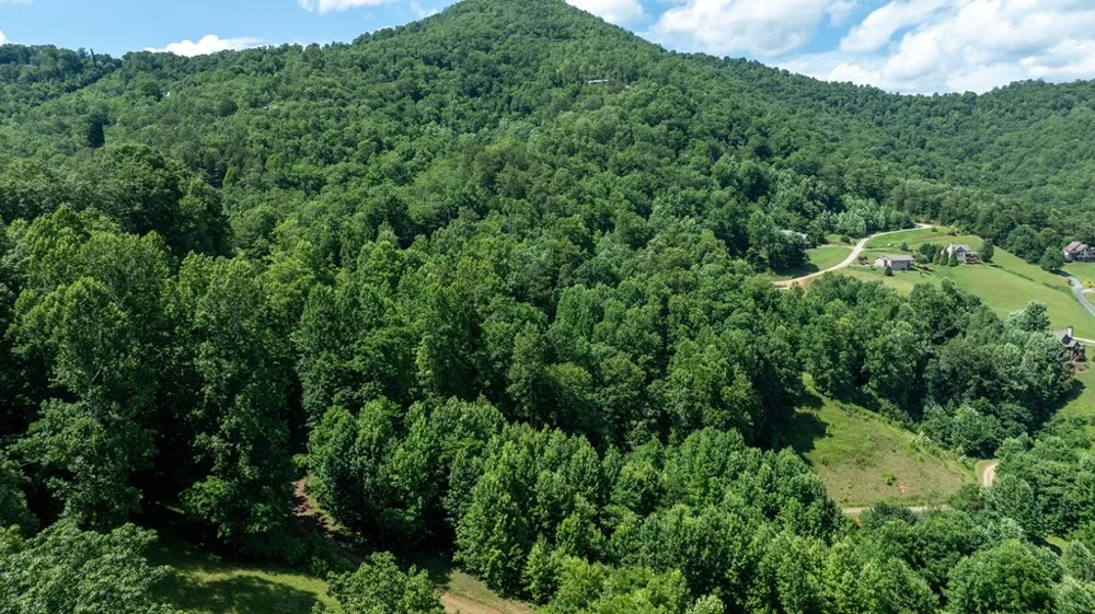 Mane Loop Road Franklin, NC 28734