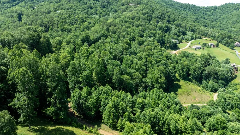 Mane Loop Road Franklin, NC 28734