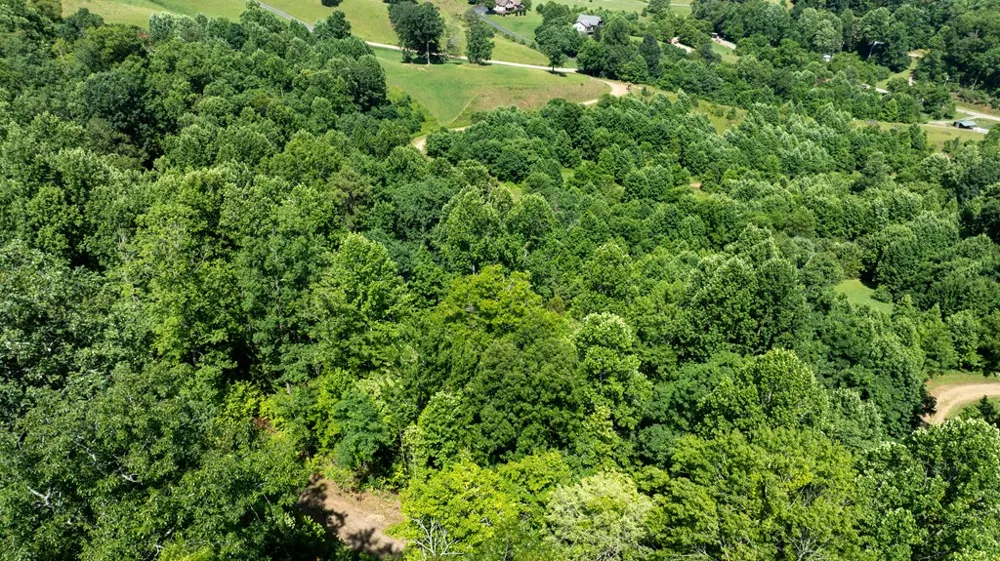 Mane Loop Road Franklin, NC 28734