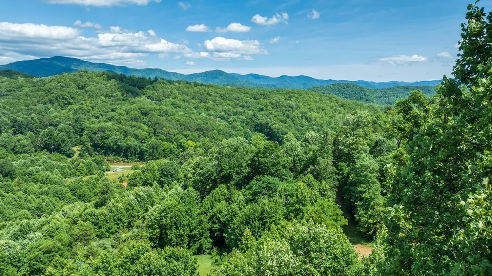 Mane Loop Road Franklin, NC 28734