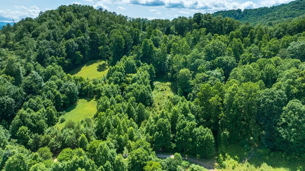 Mane Loop Road Franklin, NC 28734