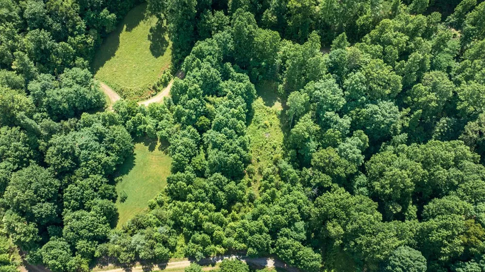 Mane Loop Road Franklin, NC 28734