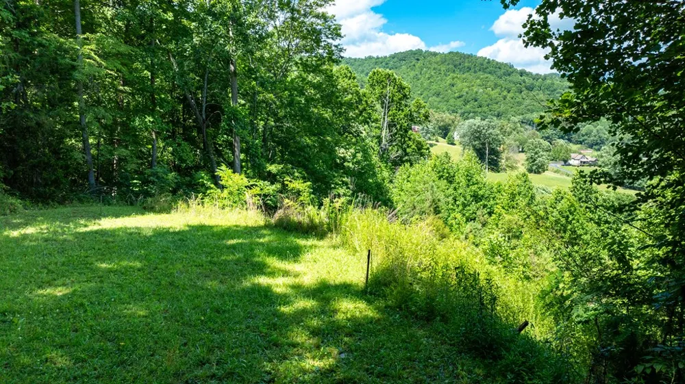 Mane Loop Road Franklin, NC 28734