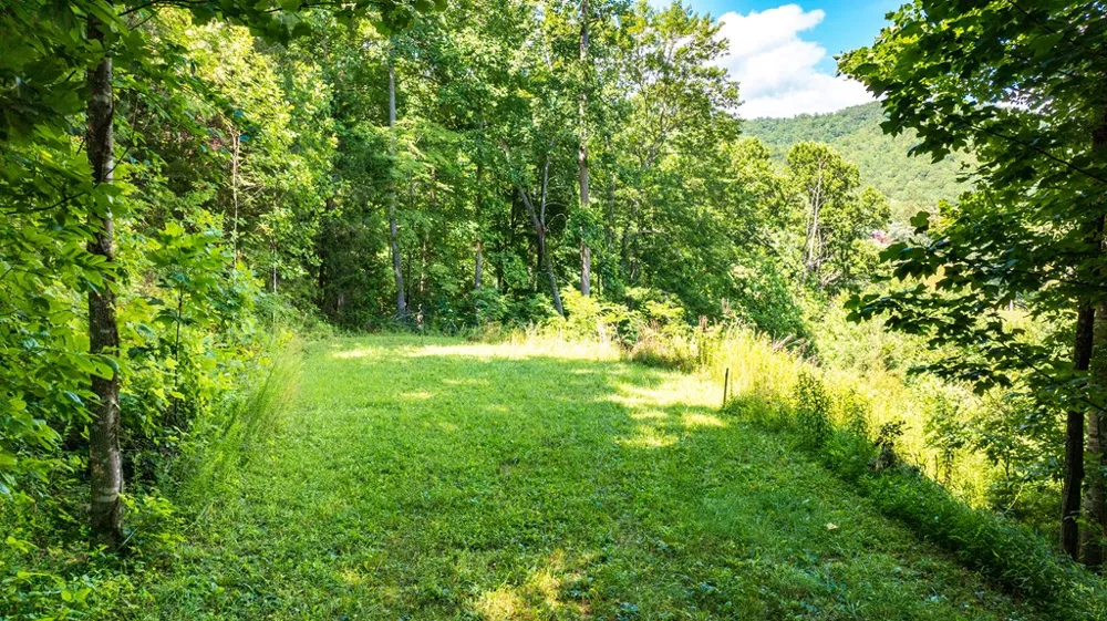 Mane Loop Road Franklin, NC 28734