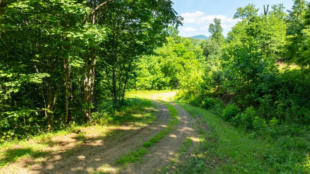 Mane Loop Road Franklin, NC 28734