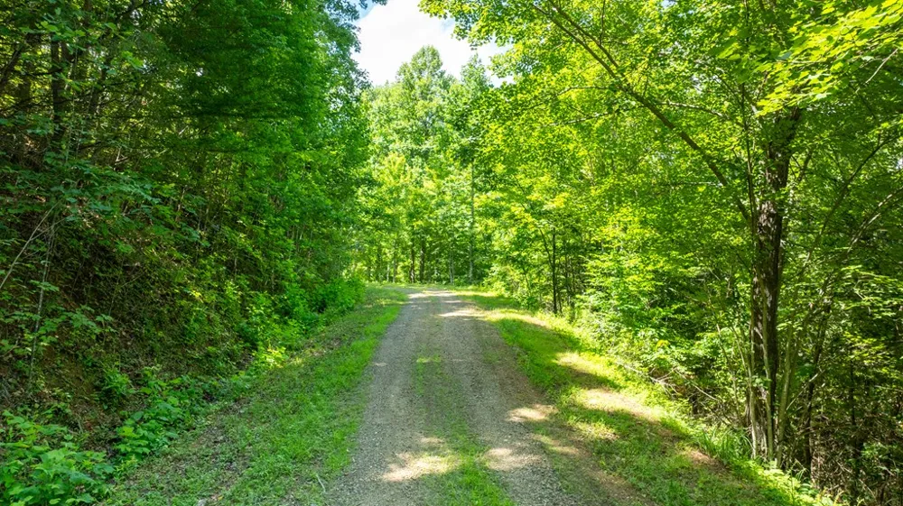 Mane Loop Road Franklin, NC 28734