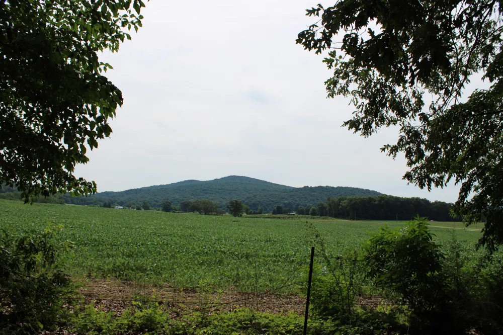 612 Bost Rd McMinnville, TN 37110