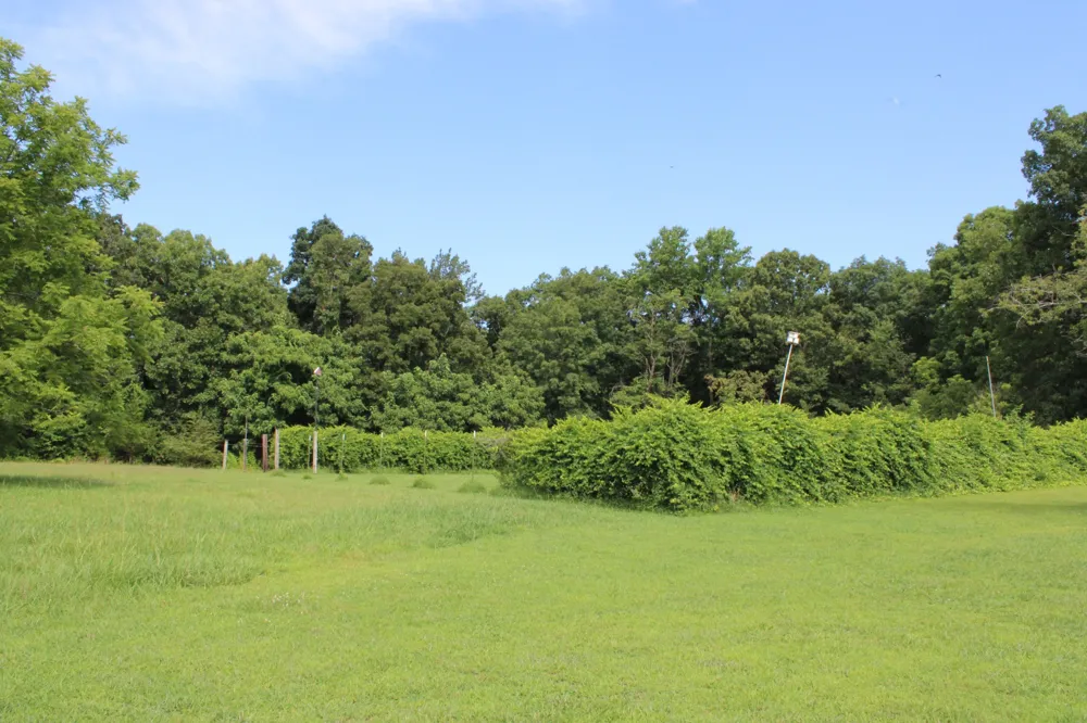 612 Bost Rd McMinnville, TN 37110