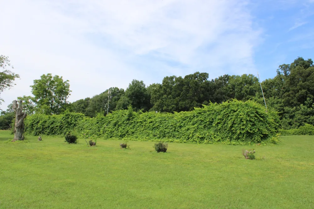 612 Bost Rd McMinnville, TN 37110