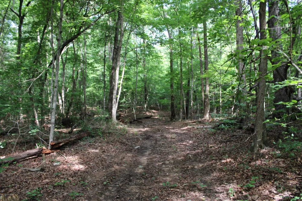 612 Bost Rd McMinnville, TN 37110