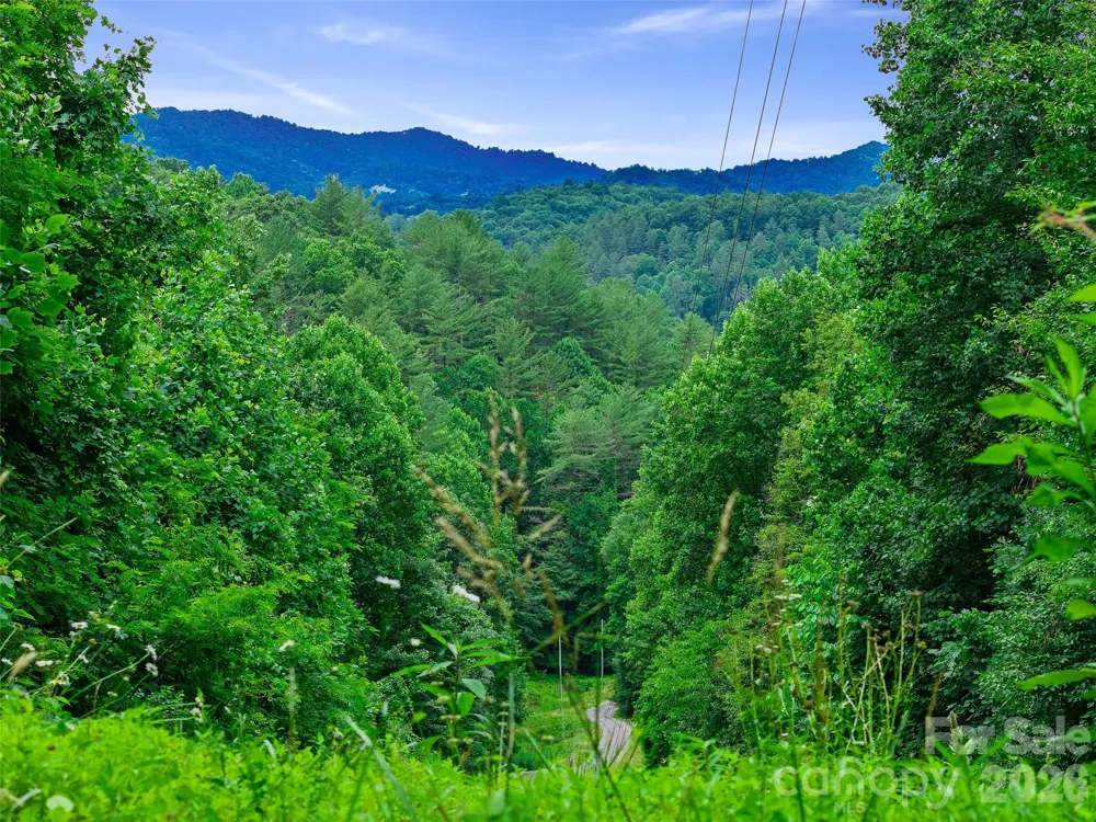000 Hamlet Drive #1 Burnsville, NC 28714