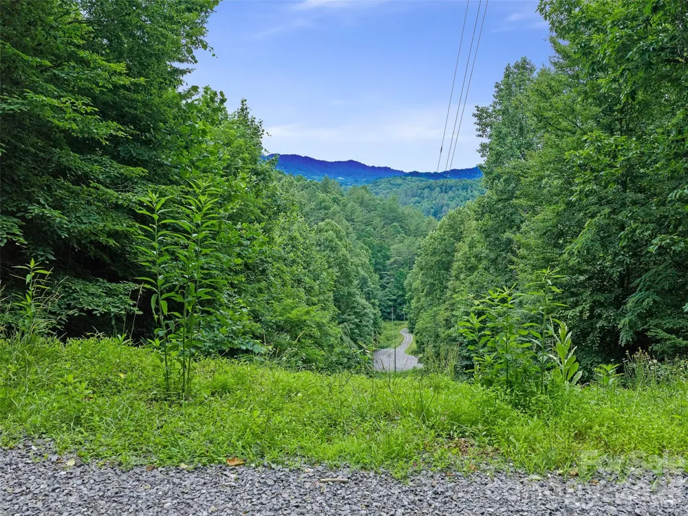 000 Hamlet Drive #1 Burnsville, NC 28714