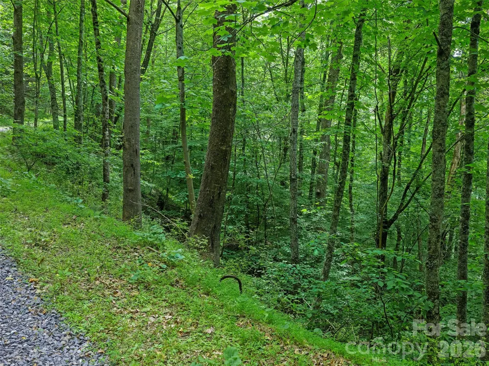 000 Hamlet Drive #1 Burnsville, NC 28714