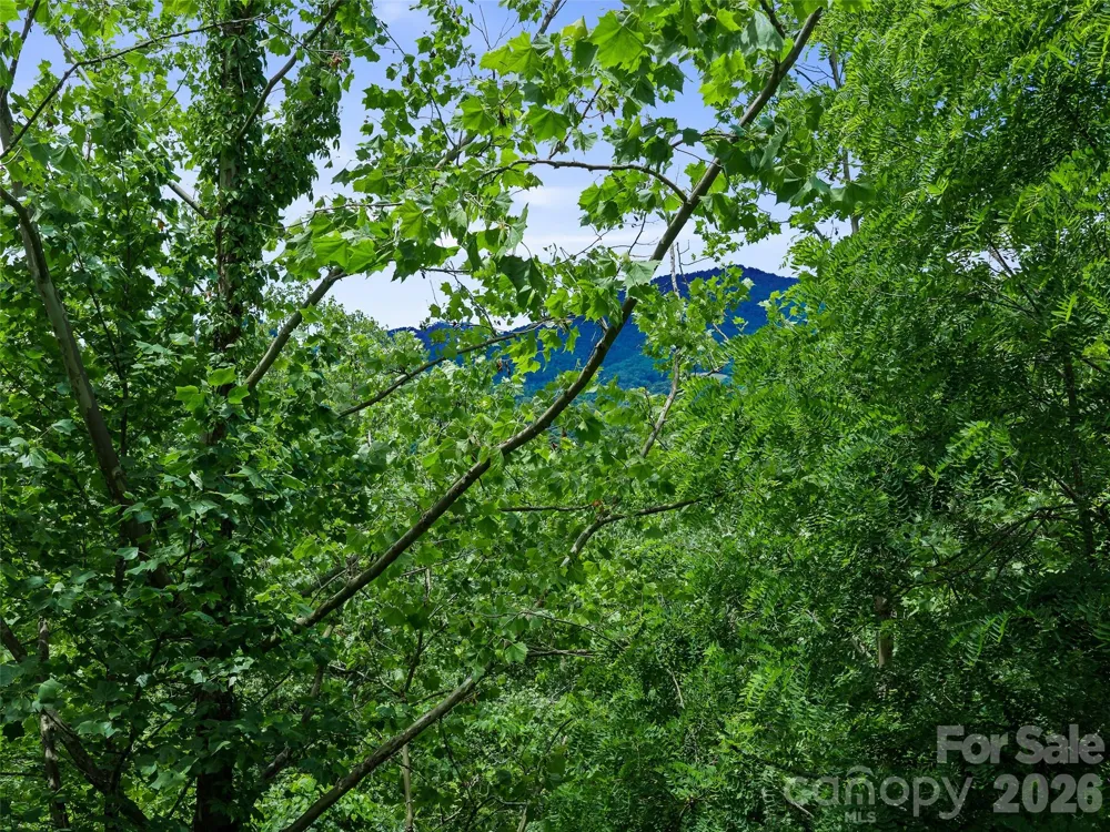000 Hamlet Drive #1 Burnsville, NC 28714