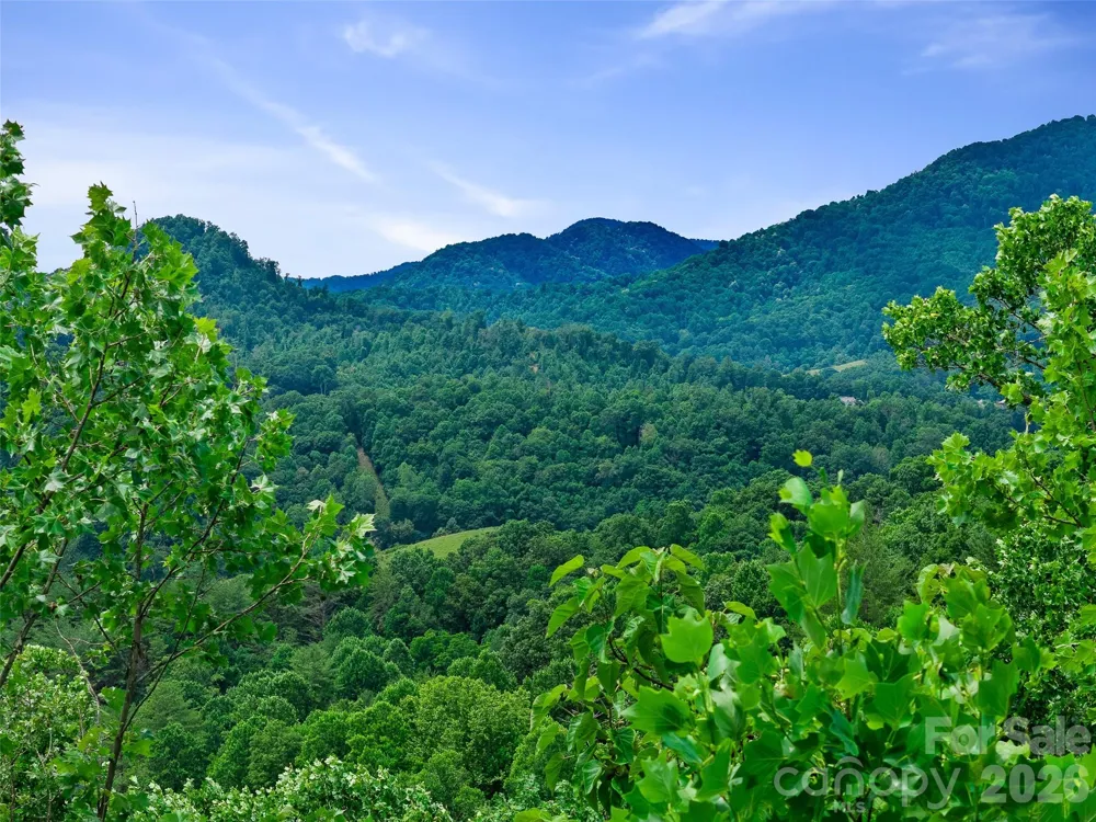 000 Hamlet Drive #1 Burnsville, NC 28714