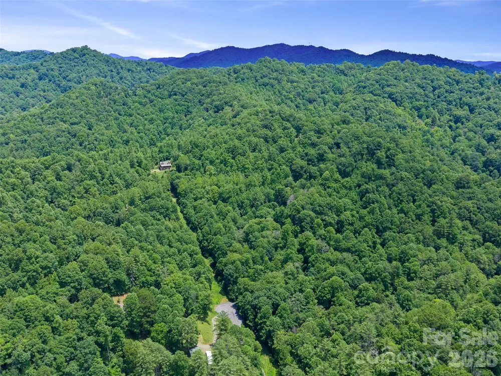 000 Hamlet Drive #1 Burnsville, NC 28714