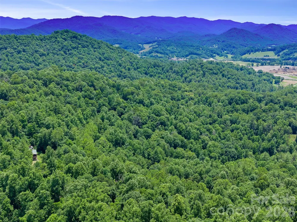 000 Hamlet Drive #1 Burnsville, NC 28714