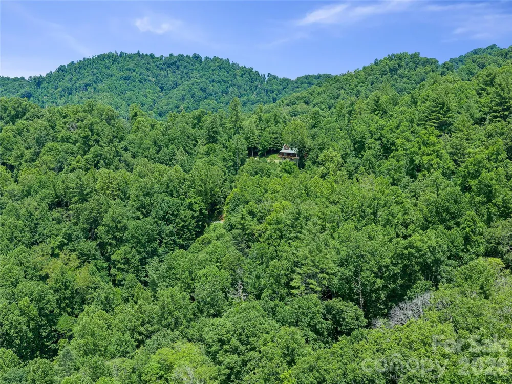 000 Hamlet Drive #1 Burnsville, NC 28714