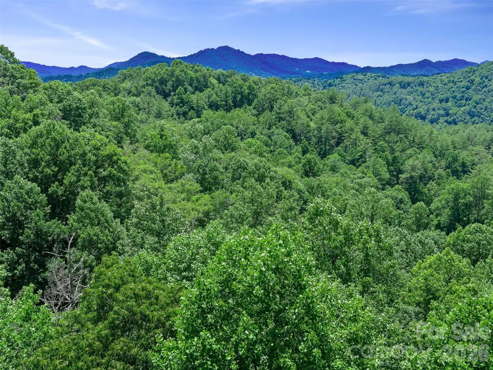 000 Hamlet Drive #1 Burnsville, NC 28714