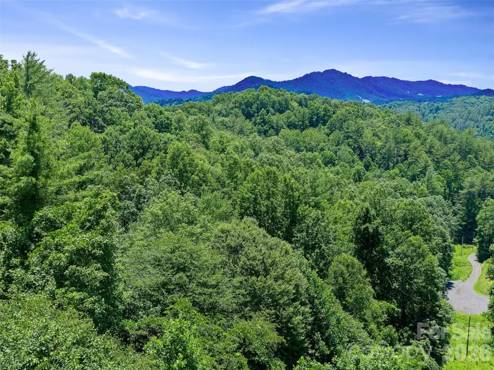 000 Hamlet Drive #1 Burnsville, NC 28714