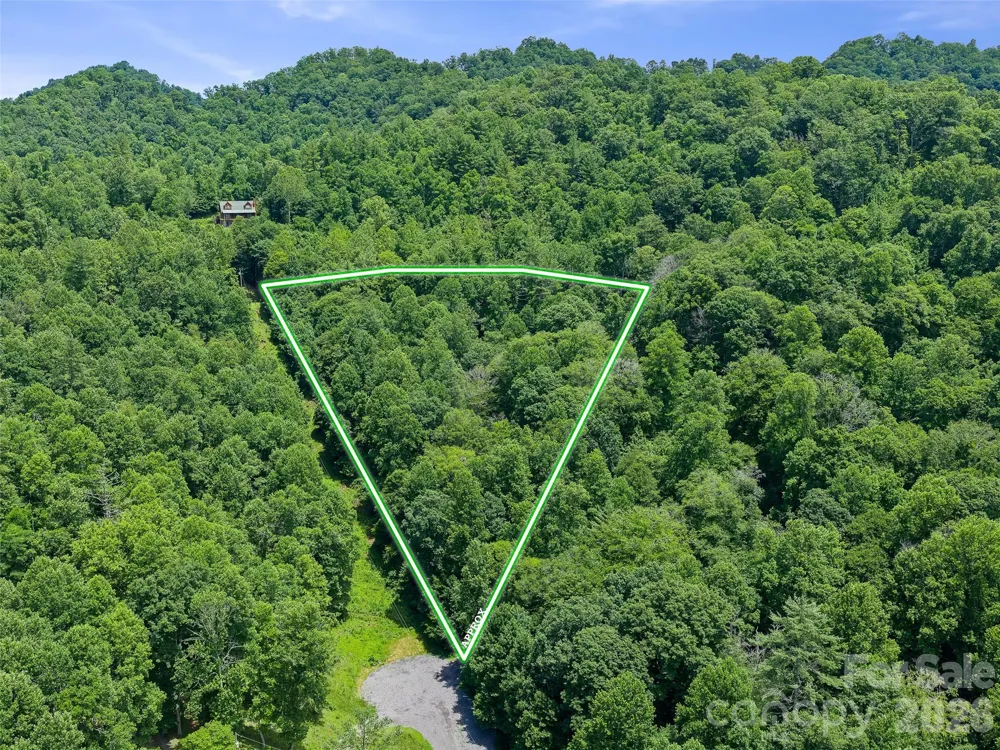 000 Hamlet Drive #1 Burnsville, NC 28714