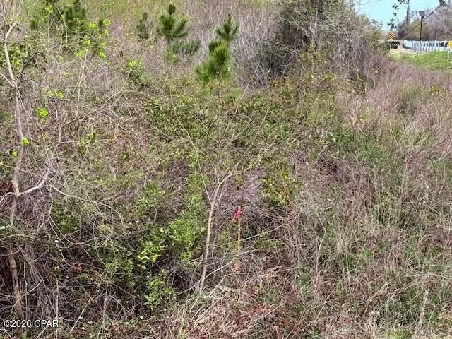 15th Mexico Beach, FL 32456