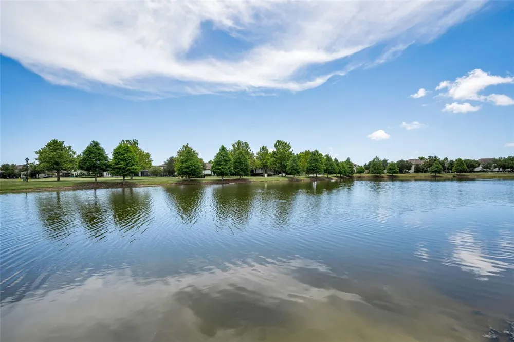 13125 BATTEN LANE Odessa, FL 33556