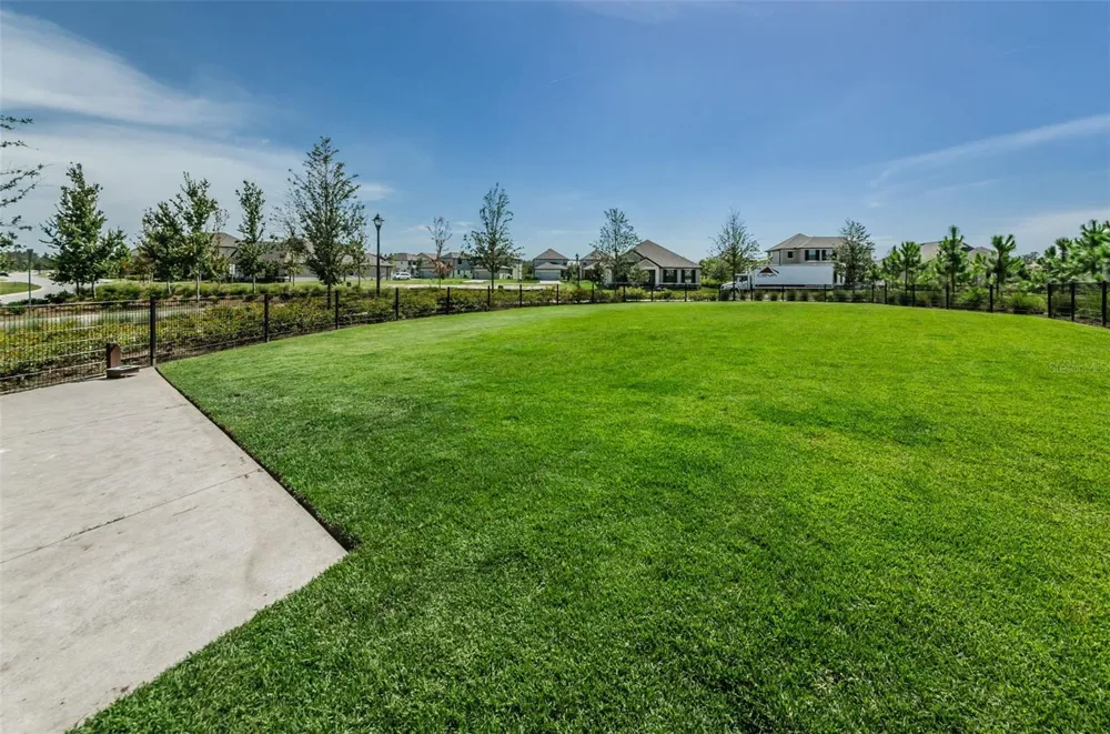 13125 BATTEN LANE Odessa, FL 33556