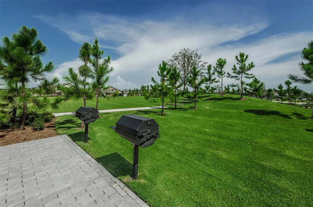 13125 BATTEN LANE Odessa, FL 33556