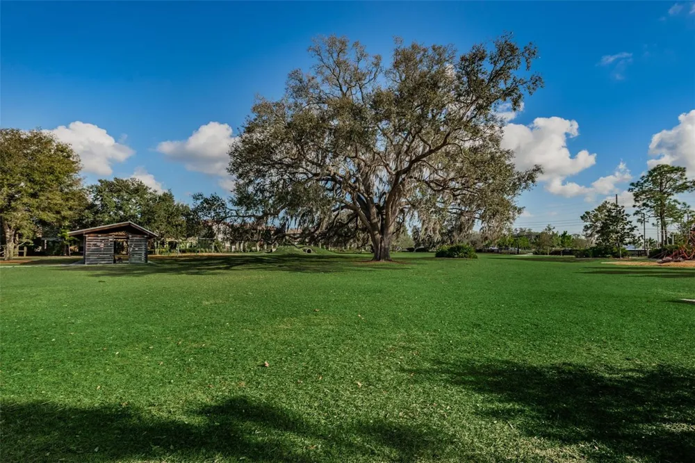 13125 BATTEN LANE Odessa, FL 33556