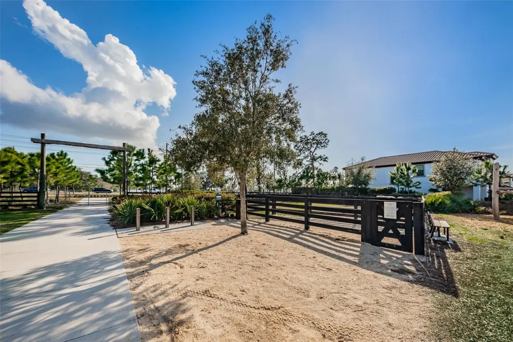 13125 BATTEN LANE Odessa, FL 33556