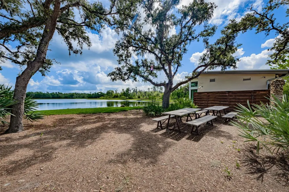 13125 BATTEN LANE Odessa, FL 33556