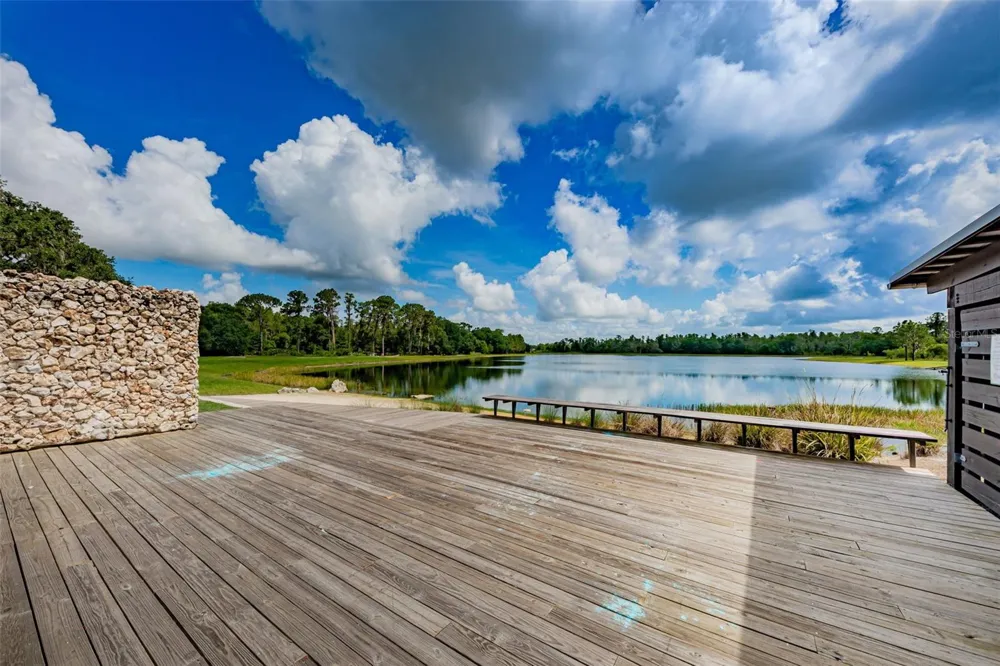 13125 BATTEN LANE Odessa, FL 33556