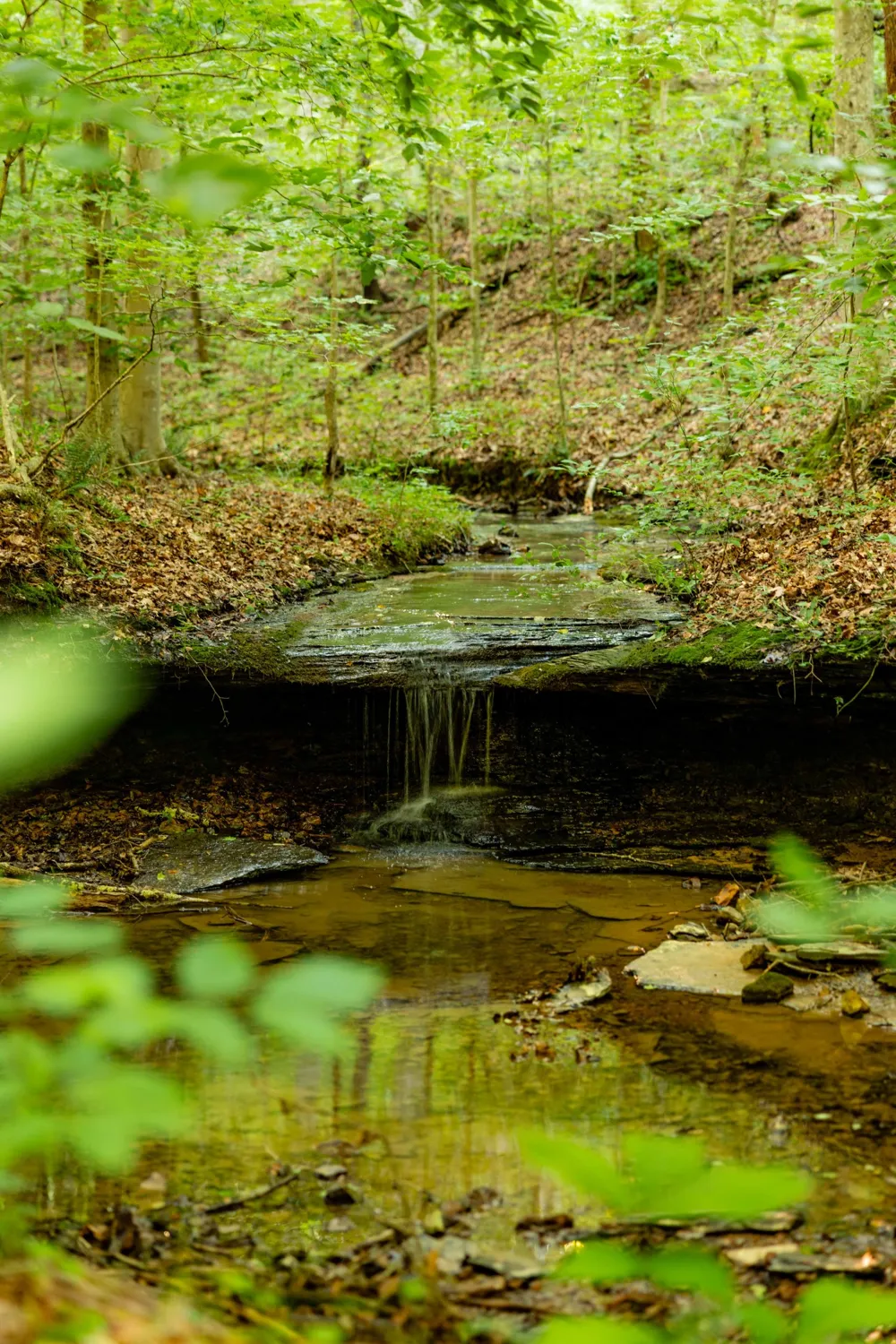 0 Robinson Rd Thompsons Station, TN 37179