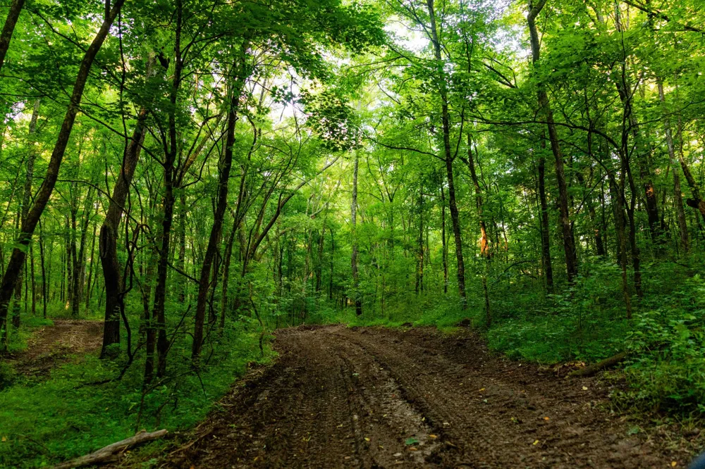0 Robinson Rd Thompsons Station, TN 37179