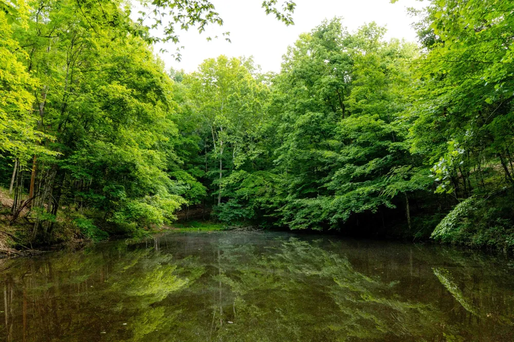 0 Robinson Rd Thompsons Station, TN 37179
