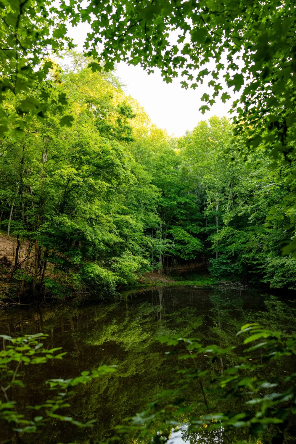 0 Robinson Rd Thompsons Station, TN 37179