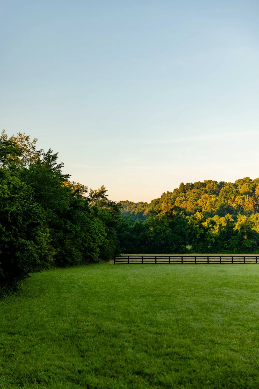 0 Robinson Rd Thompsons Station, TN 37179