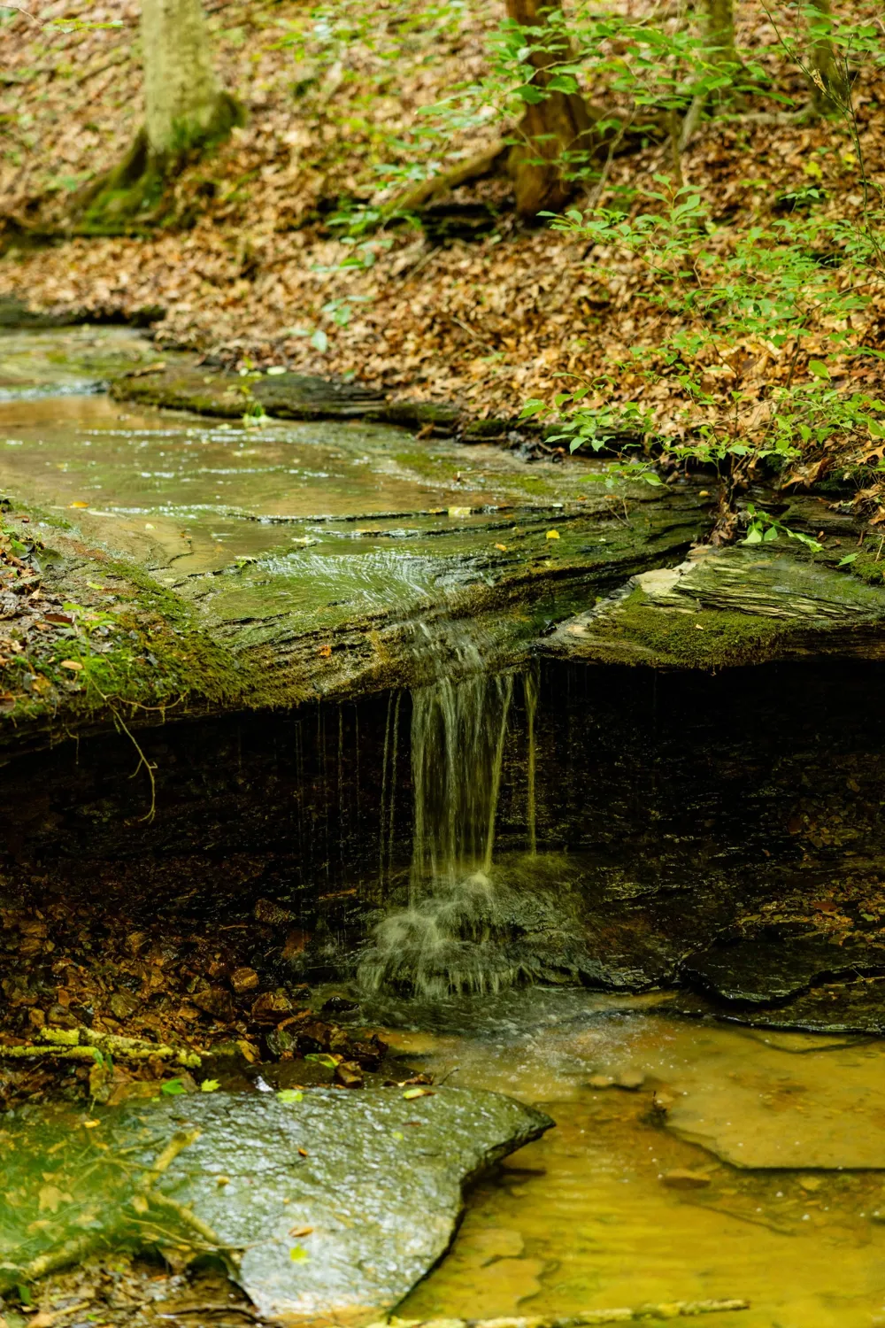 0 Robinson Rd Thompsons Station, TN 37179