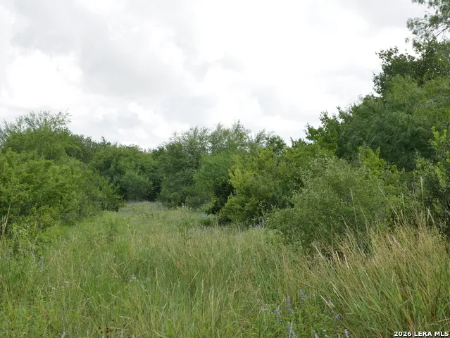 TBD LOT 6 CR 208 Hobson, TX 78117