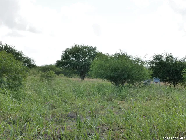 TBD LOT 6 CR 208 Hobson, TX 78117
