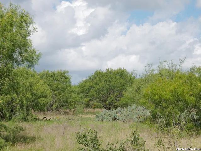 TBD LOT 6 CR 208 Hobson, TX 78117