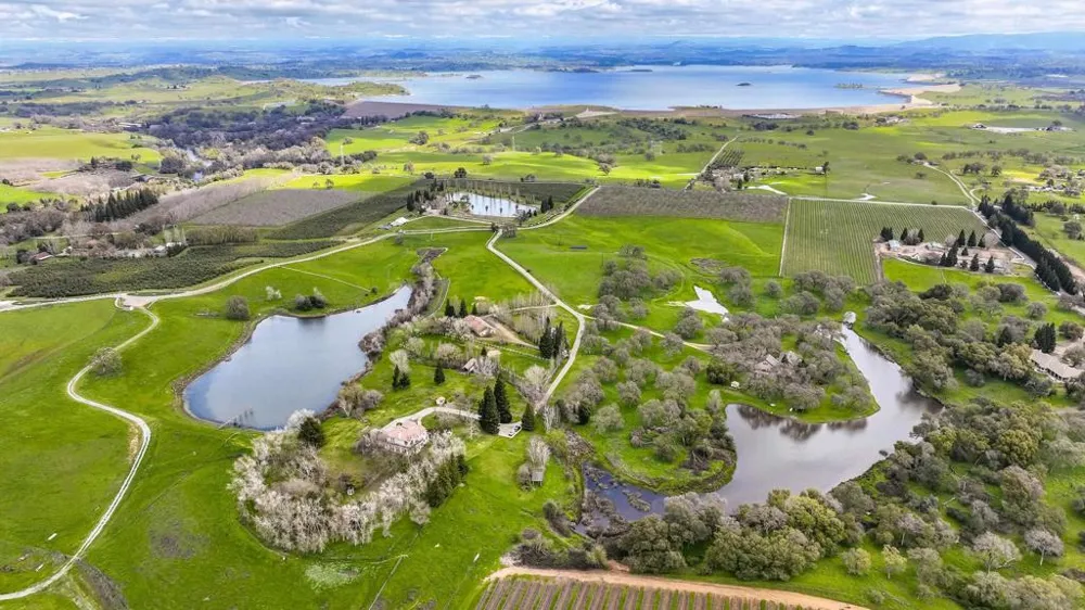 24943 McIntire Clements, CA 95227