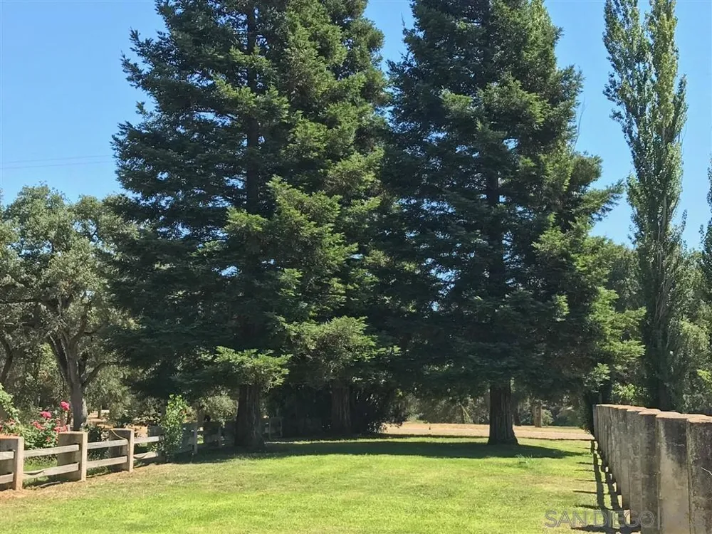24943 McIntire Clements, CA 95227