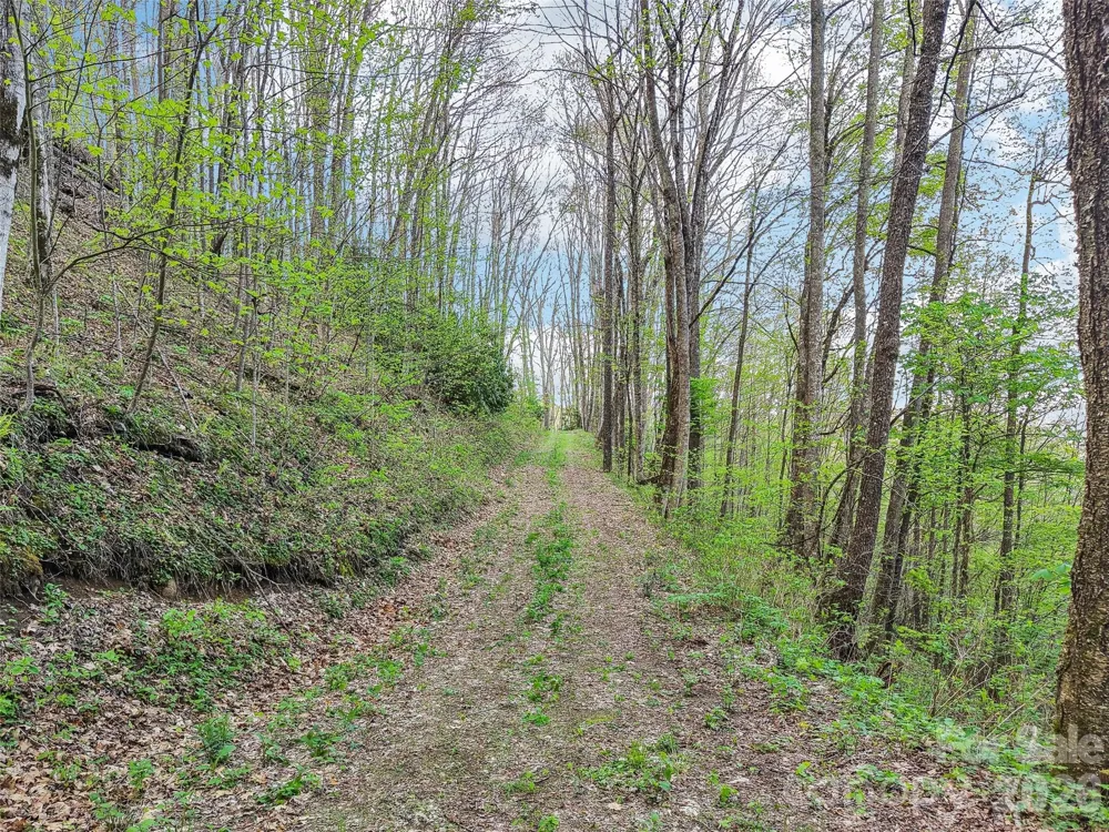 00 Star Crest Drive Waynesville, NC 28785