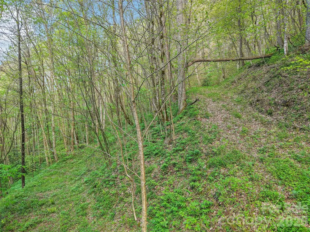 00 Star Crest Drive Waynesville, NC 28785