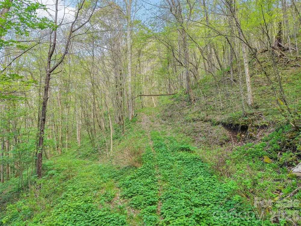 00 Star Crest Drive Waynesville, NC 28785